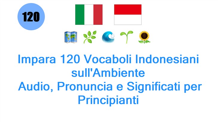 Impara 120 Vocaboli Indonesiani sullAmbiente: Audio, Pronuncia e Significati per Principianti